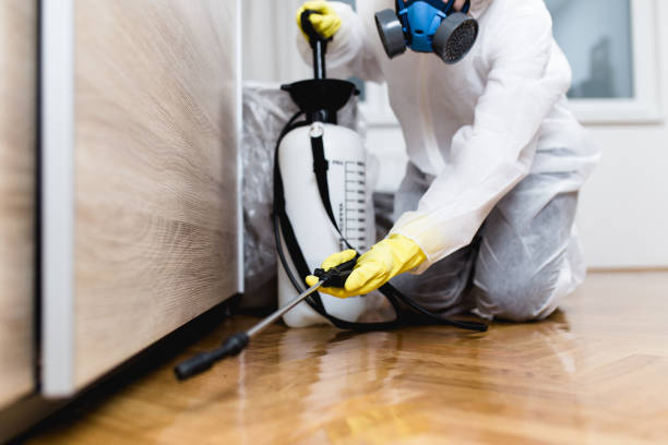 Best Best Pest Control Companies  in Dublin, PA