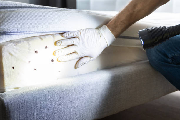 Best Pest Inspection Near Me  in Dublin, PA