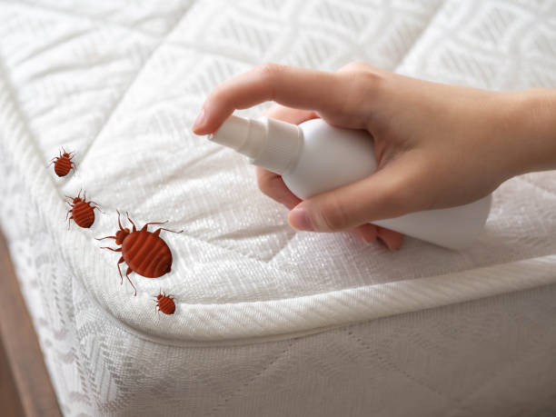 Best Pest Control Near Me  in Dublin, PA